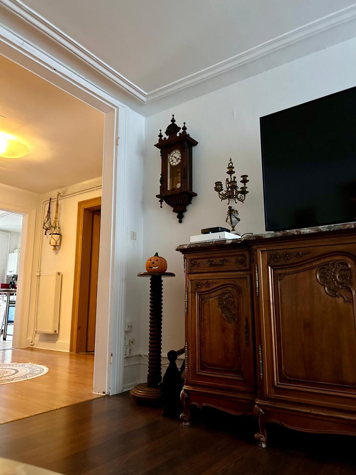 Appartement Spacious Centre Straatsburg
